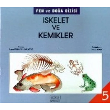 İskelet ve Kemikler