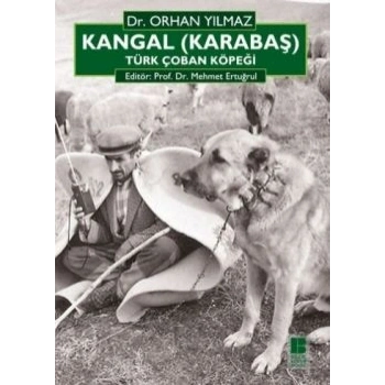 Kangal (Karabaş) Türk Çoban Köpeği