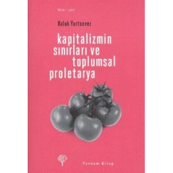 Kapitalizmin Sınırları ve Toplumsal Proletarya