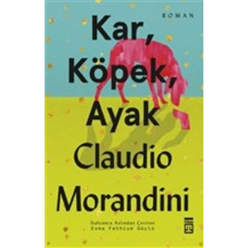 Kar, Köpek, Ayak