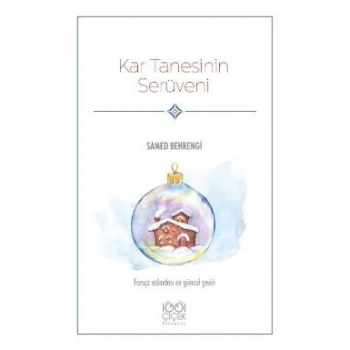 Kar Tanesinin Serüveni
