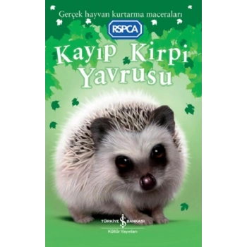 Kayıp Kirpi Yavrusu