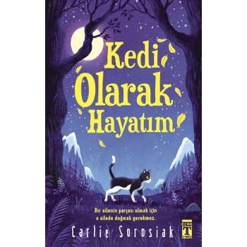 Kedi Olarak Hayatım