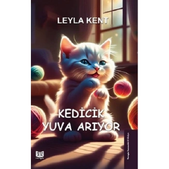 Kedicik Yuva Arıyor
