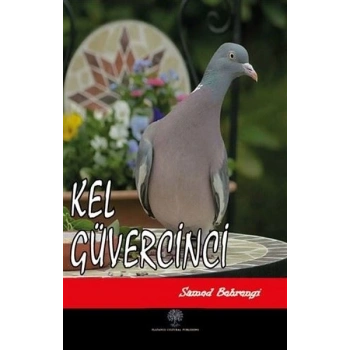 Kel Güvercinci