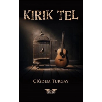 Kırık Tel