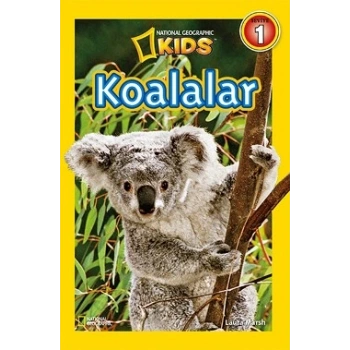 Koalalar
