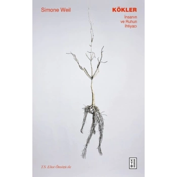 Kökler