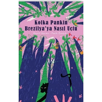 Kolka Pankin Brezilya’ya Nasıl Uçtu (Ciltli)