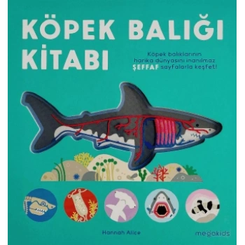 Köpek Balığı Kitabı (Ciltli)