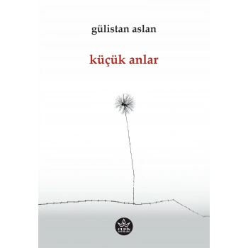 Küçük Anlar