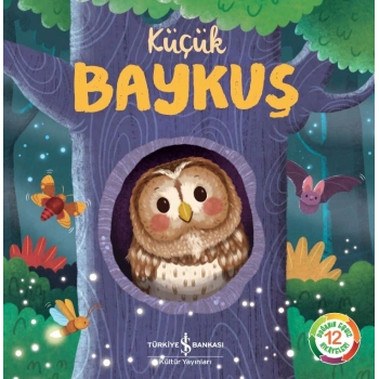 Küçük Baykuş