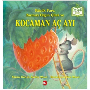 Küçük Fare, Kırmızı  Olgun Çilek ve Kocaman  Aç Ayı