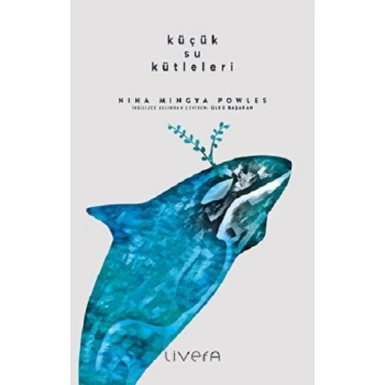 Küçük Su Kütleleri