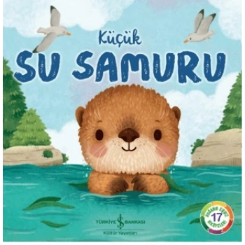 Küçük Su Samuru