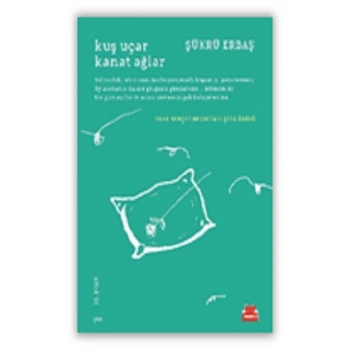 Kuş Uçar Kanat Ağlar