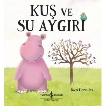 Kuş Ve Su Aygırı