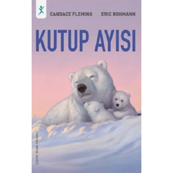 Kutup Ayısı