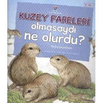 Kuzey Fareleri Olmasaydı Ne Olurdu?