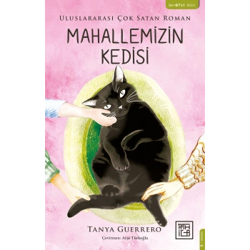 Mahallemizin Kedisi
