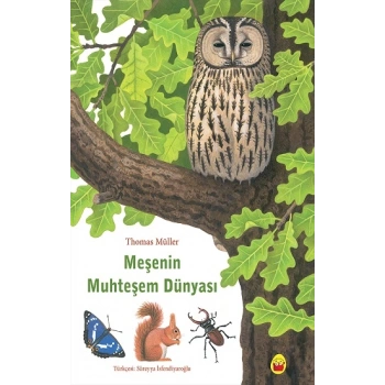 Meşenin Muhteşem Dünyası