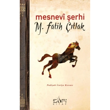 Mesnevi Şerhi