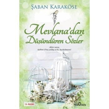 Mevlanadan Düşündüren Sözler