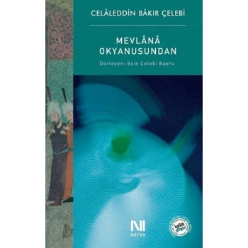 Mevlana Okyanusundan