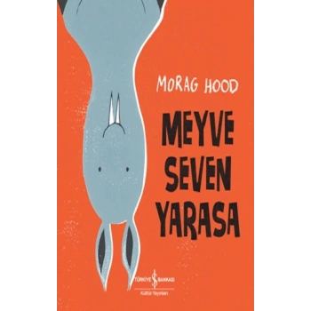 Meyve Seven Yarasa