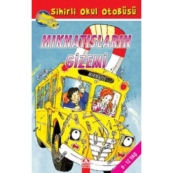 Mıknatısların Gizemi