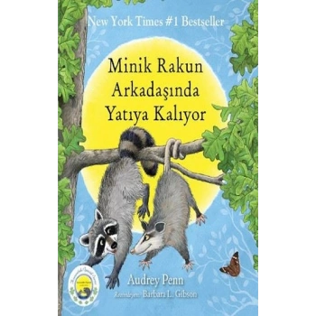 Minik Rakun Arkadaşında Yatıya Kalıyor