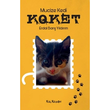 Mucize Kedi Koket