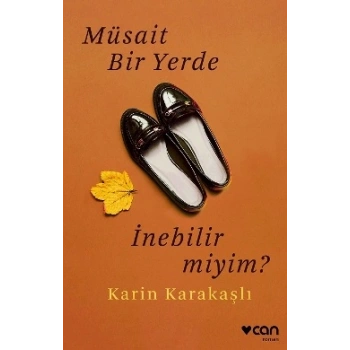 Müsait Bir Yerde İnebilir miyim?