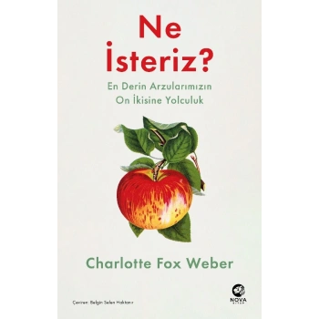 Ne İsteriz: En Derin Arzularımızın On İkisine Yolculuk