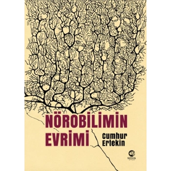 Nörobilimin Evrimi