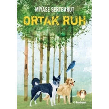 Ortak Ruh  Sisin Sakladıkları-2