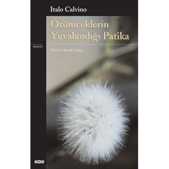 Örümceklerin Yuvalandığı Patika