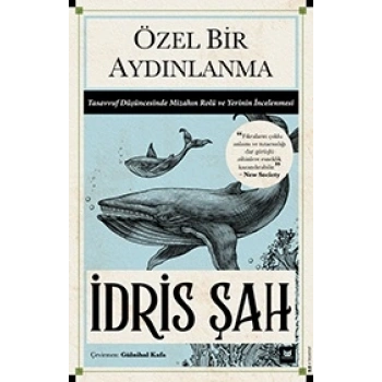 Özel Bir Aydınlanma