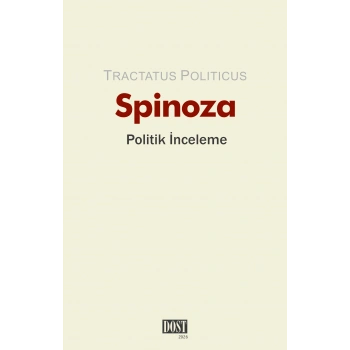 Politik İnceleme