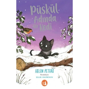Püskül Adında Bir Kedi