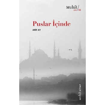 Puslar İçinde