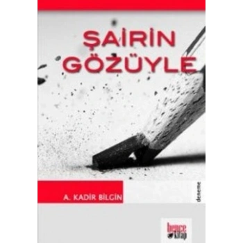 Şairin Gözüyle