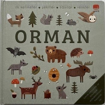 Say Bul Eğlen Orman (Ciltli)