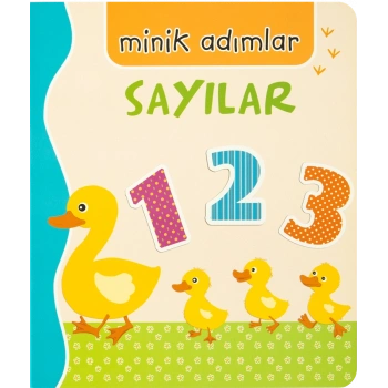 Sayılar-Minik Adımlar