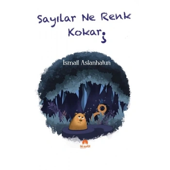 Sayılar Ne Renk Kokar