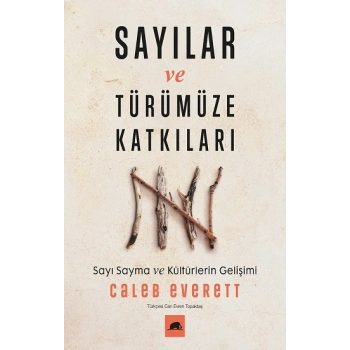 Sayılar ve Türümüze Katkıları