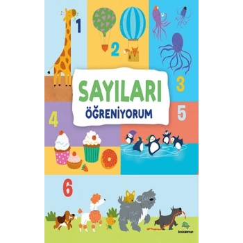 Sayıları Öğreniyorum (Ciltli)