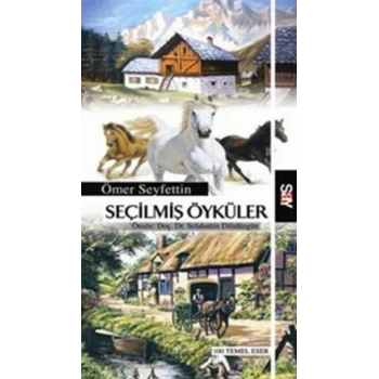 Seçilmiş Öyküler