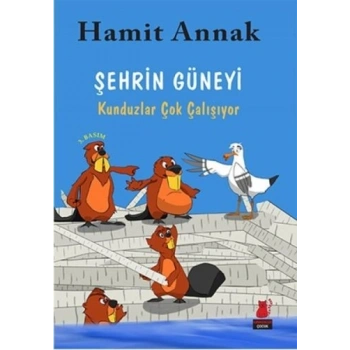 Şehrin Güneyi : Kunduzlar Çok Çalışıyor