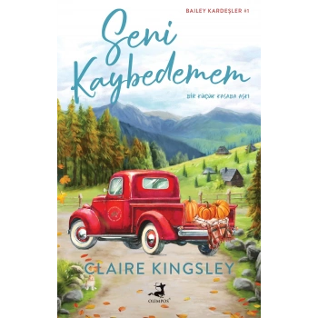 Seni Kaybedemem